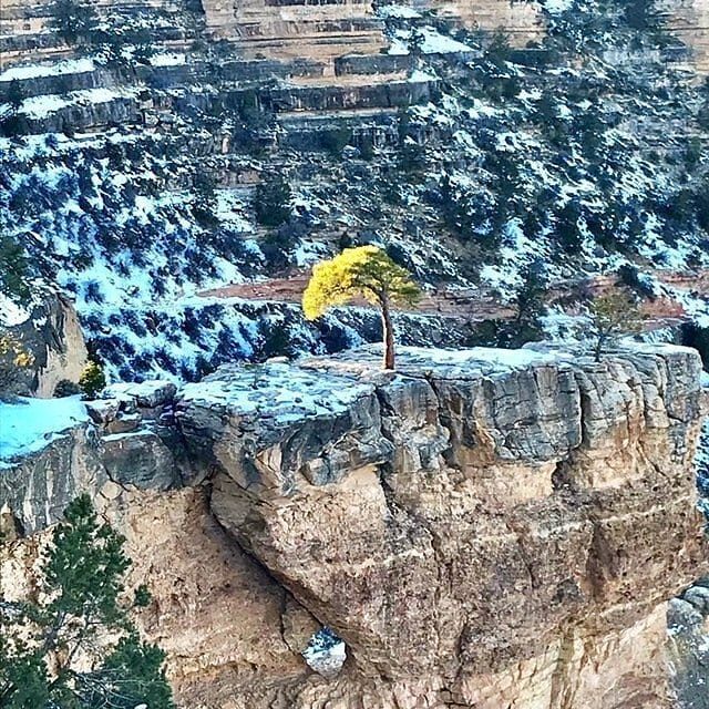 Grand Canyon in winter